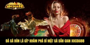 Đá gà đòn là gì