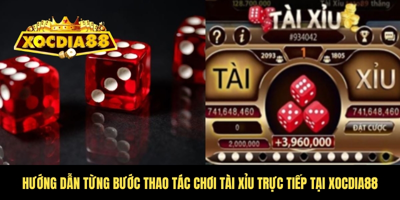 Tài xỉu trực tiếp - Uy tín số 1 trong top cược Xocdia88 3 Quy trình tham gia cược tài xỉu tại Xocdia88