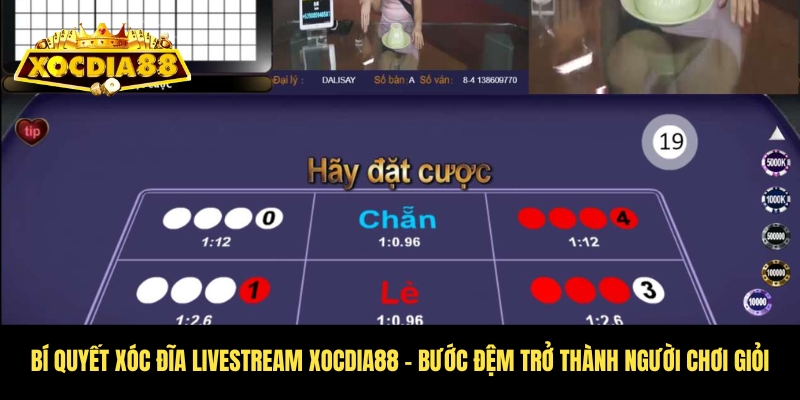 Xóc đĩa livestream cùng dealer chuyên nghiệp tại Xocdia88 4 Mẹo cược xóc đĩa livestream Xocdia88